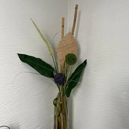 L'instant Relax - Balneo & Hypercentre & Calme アパート ムーラン